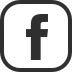 digital assets Danmark